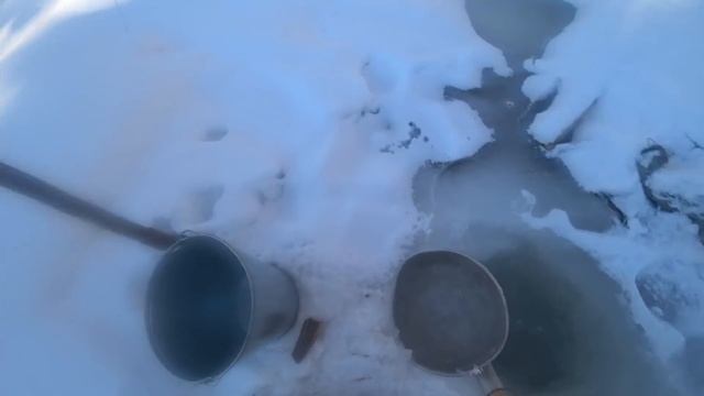 Был один круглый год в тайге, но пришел сосед, и стало весело))) смотреть онлайн