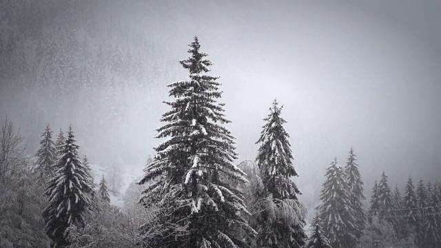 ?21 января–Емельянов день. Что нельзя делать?? Приметы и поверья