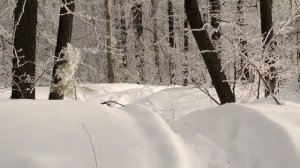 Красота зимнего утра в поселке Васильево республика Татарстан.