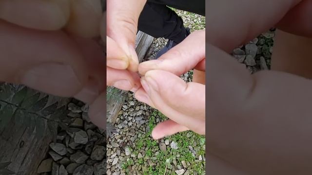 Лайфхак ✅ Ремонт язычка оконной сетки

Лови Лайфхак
