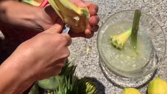 Артишок как правильно очистить и готовить!How to cook and eat artichokes смотреть онлайн