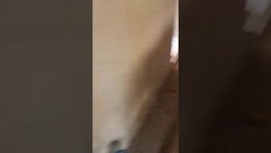 Отопление естественной циркуляции с теплым водяным полом