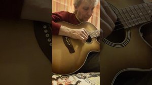 акустическая гитара renome
