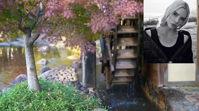 Кавабата Ясунари - "Стон Горы". Нобелевская премия, японская эстетика и принятие судьбы смотреть онлайн