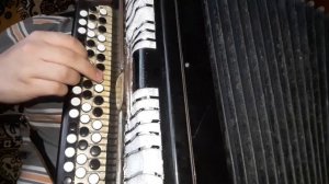 На Теплоходе Музыка Играет На Баяне/ Аккордеонист Баянист