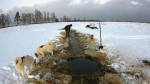 СУРОВАЯ ПРАВДА. ЧТО ПРОИСХОДИТ ЗИМОЙ  С РЫБОЙ  В МАЛЫХ ОЗЁРАХ.