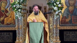 Протоиерей Андрей Ткачёв - И всё остальное приложится вам! (2024.07.15)