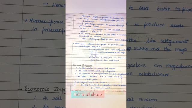 Pteridophytes #neet #neetug #neet2024 #plantkingdom #pteridophyta #heterospory #selaginella #rhynia смотреть онлайн