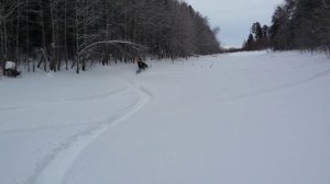 Печкин жгет...?✌