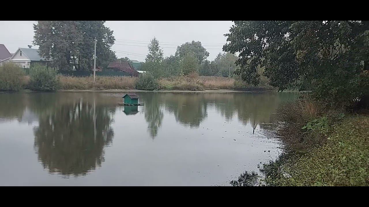Пруд "Памятник" в селе Лямцино Домодедовского района