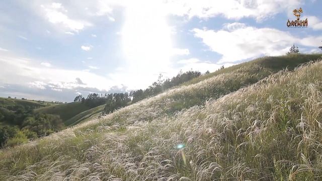 Олений парк смотреть онлайн