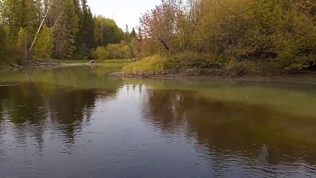 Слияния Сосьвы и Шегультана. 15.09.2022 смотреть онлайн