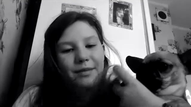 Натуральная пища для собак смотреть онлайн