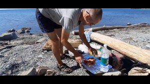 Море. Шашлыки. Дикий пляж в Лермонтово.