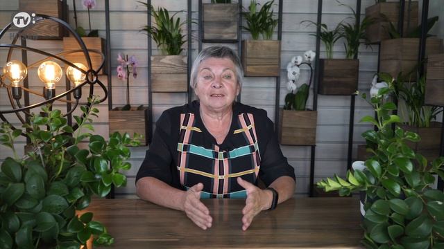 НЕ КЛАДИТЕ ЭТОГО в Компостную Кучу ✔️ Ошибки Компостирования смотреть онлайн