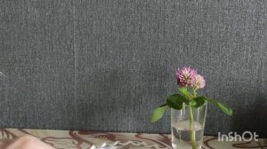 Дочь не берет трубку уже сутки