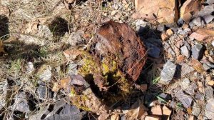 Where Did This 500 Pound Gold Bearing Boulder Come From!?