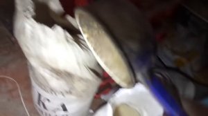 Сухой и жидкий корм для червя, рецепт приготовления