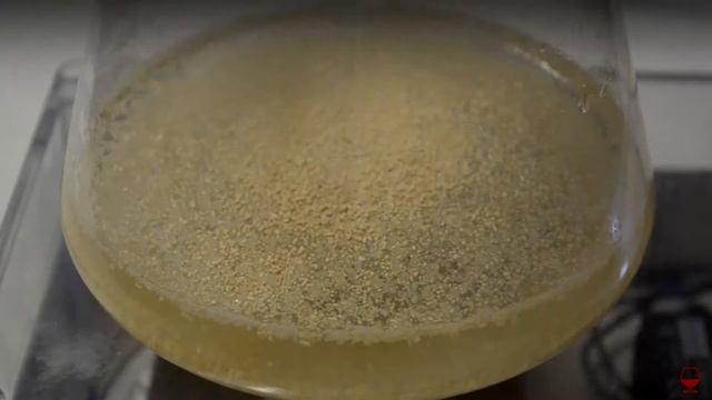 Разбраживание дрожжей (перезалив)