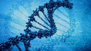 Репликация ДНК. Эволюция Генома человека. Константин Северинов