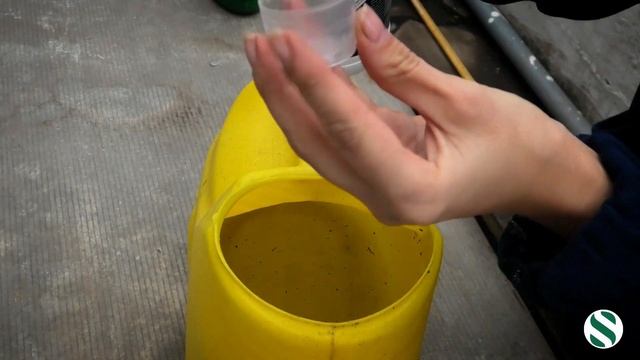 Черенкование дёрена. смотреть онлайн