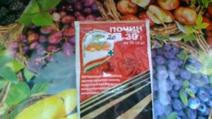 Почин. Для борьбы с почвенными вредителями.