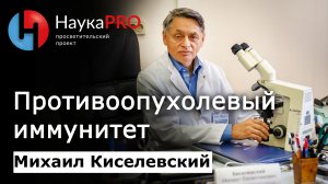 Противоопухолевый иммунитет – Михаил Киселевский | Лекции по медицине | Научпоп