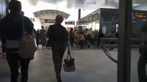 Поезда на Московском вокзале. Самый большой и шумный вокзал в Санкт-Петербурге