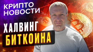 Реакция BTC на халвинг | Крипто новости | Crypto Emergency