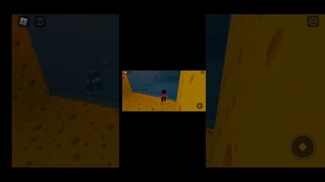 игра в какуето крысу в роблоксе смотри пж 🙏 очень интересно 🤔💭🤔💭 смотреть онлайн