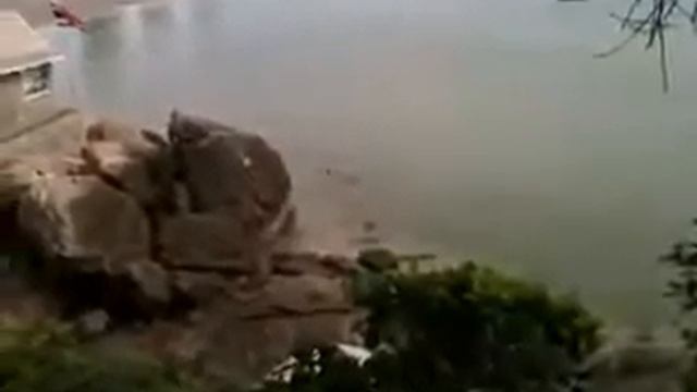 Обезьяны прыгают со скалы в море. Таиланд смотреть онлайн