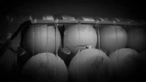 Как сделать инкубатор из бутылки сам дома