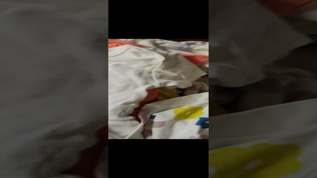 Одежда
