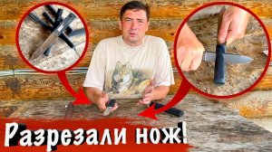 Как выглядит нож "Алтайский-МС" изнутри?