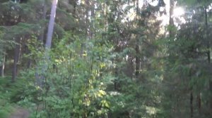 Грузино, СНТ Балтиец