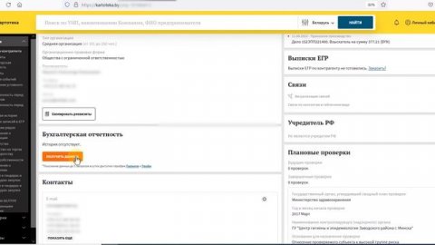 Бухгалтерская отчетность по контрагентам в сервисе проверки контрагентов kartoteka.by