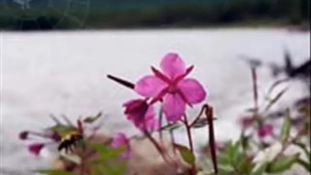 ШЕСТНАДЦАТЬ ЛЕТ Сережа Георгий 2014 год смотреть онлайн