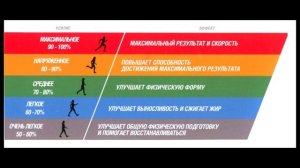 Зоны пульса кардиотренировок. Зачем мерить пульс при беге. Стадион для тех кому за...