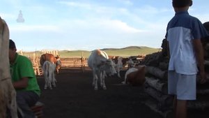 Быт в монгольской деревне