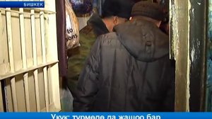 Темиртор артындагы жашоо