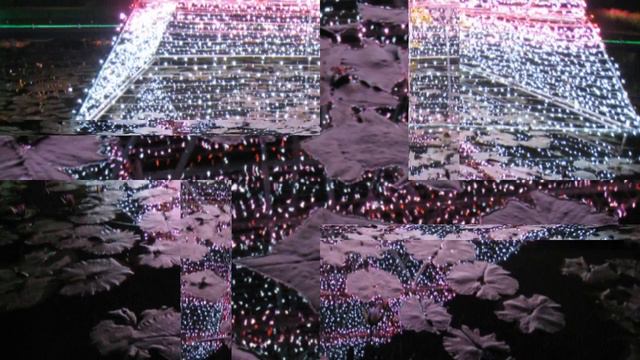 2009足利フラワーパークイルミ