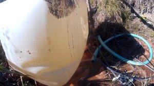 что будет, если в еврокуб без обрешетки налить воды