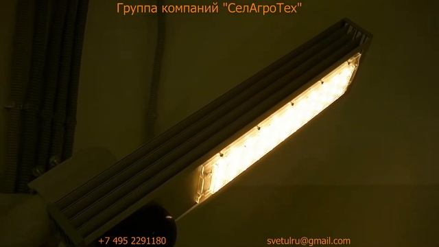 Светодиодный светильник для складов с датчиком движения смотреть онлайн