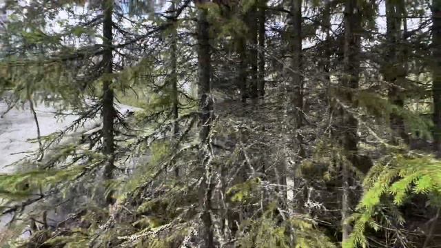 ЧТО ДЕЛАЮТ ВЫСОКОРАЗВИТЫЕ ДУШИ СОБРАВШИСЬ ВМЕСТЕ?КАК ОСВОБОДИТЬСЯ ОТ КОНТРОЛЯ?ЧТО ТАКОЕ ЗЕМЛЯ-2? смотреть онлайн