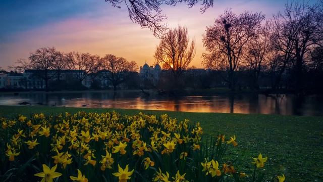 Native American Indian Flute | Destroy All The Negative Energy - Positive Calm Heal Relax Music смотреть онлайн