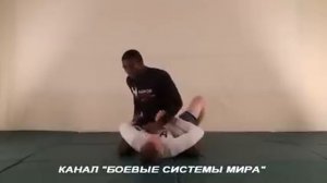 ч15-10 Position - Mount, Submission #Omoplata #Борьба в партере, болевые #приемы, Din Thomas #ММА