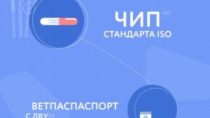 Перевозка животных в Китай.