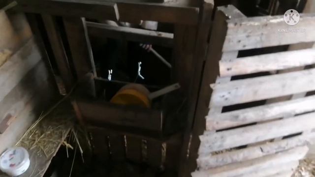 Чистим загоны. Куры переехали. Рабочий перекус. Наконец-то купила тапки. смотреть онлайн