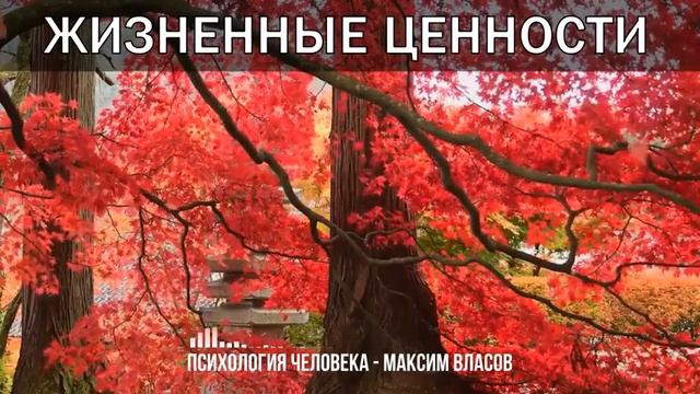 Жизненные Ценности - Какие Самые Важные Жизненные Ценности Есть У Человека - Психология Человека
