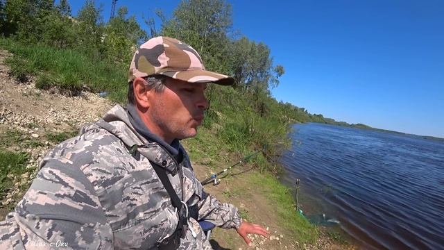 ЧЕРНАЯ против СВЕТЛОЙ прикормки или Трофейный лещ на САЛО!Майский СОМ 2023! Рыбалка на Оке ! смотреть онлайн